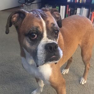 Meet your Posher, Jenna